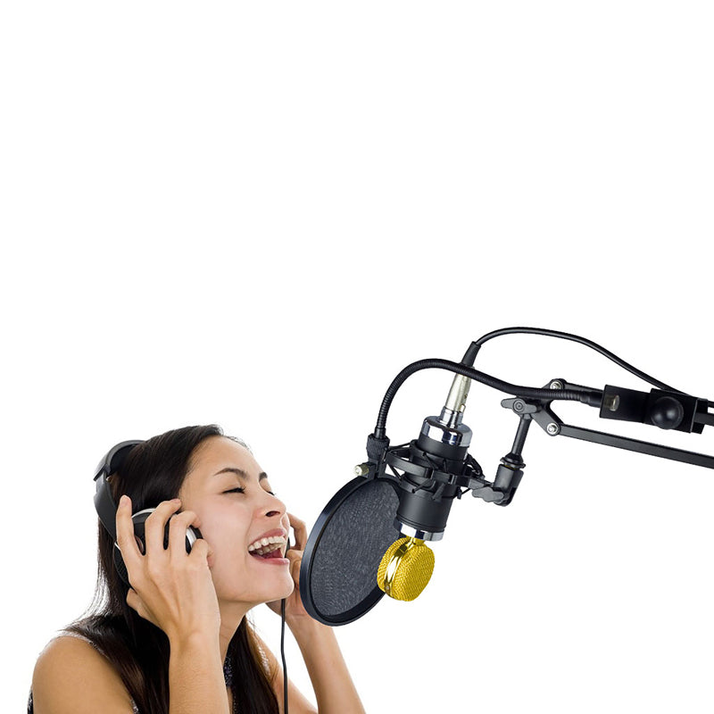Nady SPF-1 Gooseneck Microphone Pop Filter with Clamp