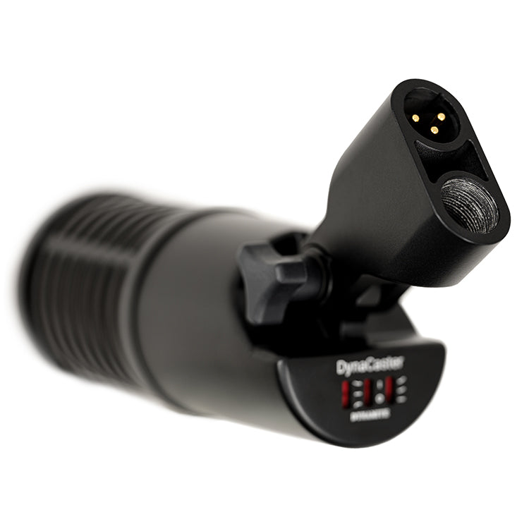 sE Electronics Dynamic Broadcast Microphone