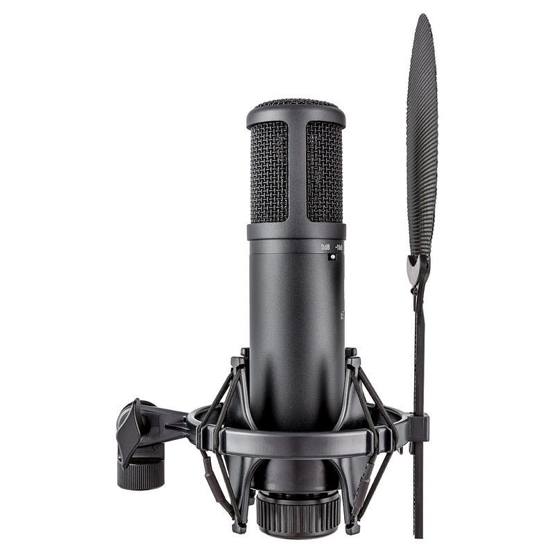 sE Electronics SE2200 Condenser Studio Microphone w/Pop Filter and Shock Mount
