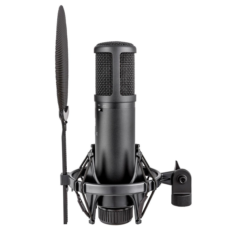 sE Electronics SE2200 Condenser Microphone - Special Bundle